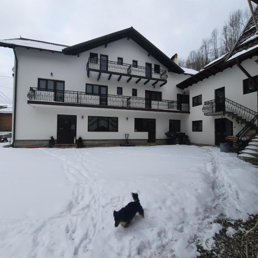 Casa Dana Olteanu Hotel Moeciu De Sus Exterior photo